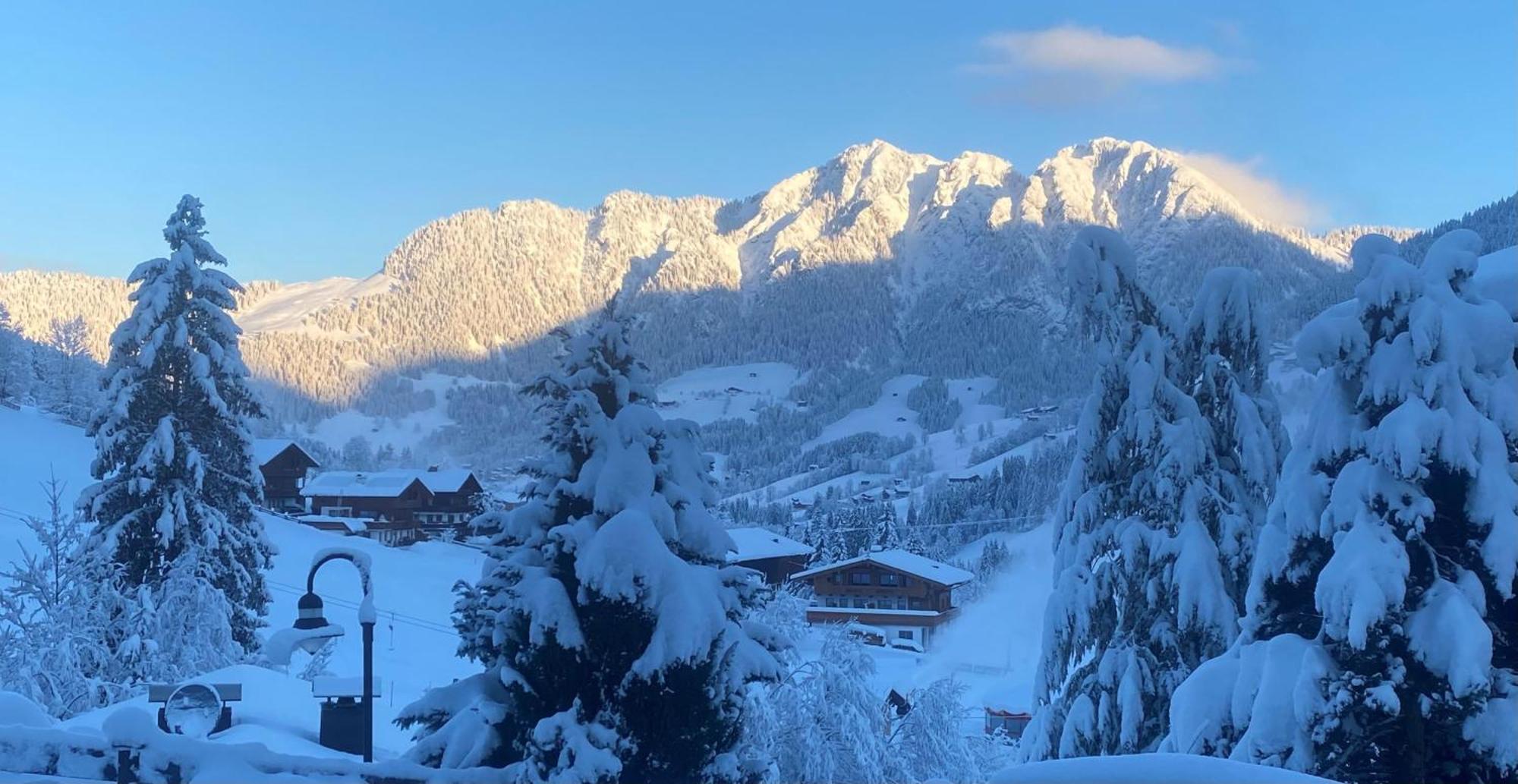 Haus Hislop Διαμέρισμα Inneralpbach Εξωτερικό φωτογραφία