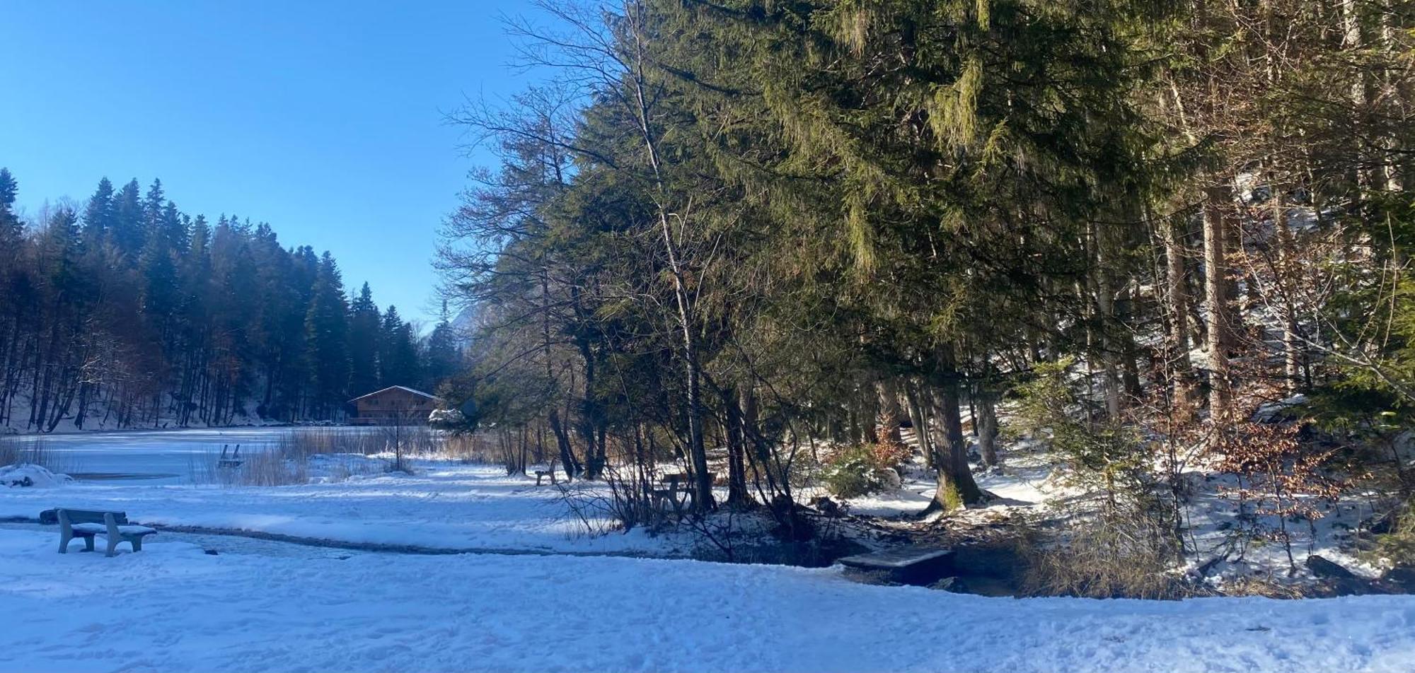 Haus Hislop Διαμέρισμα Inneralpbach Εξωτερικό φωτογραφία